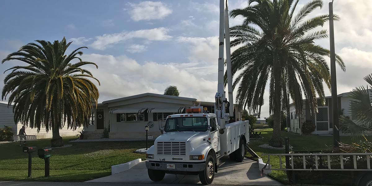 Stump grinding in Englewood Florida