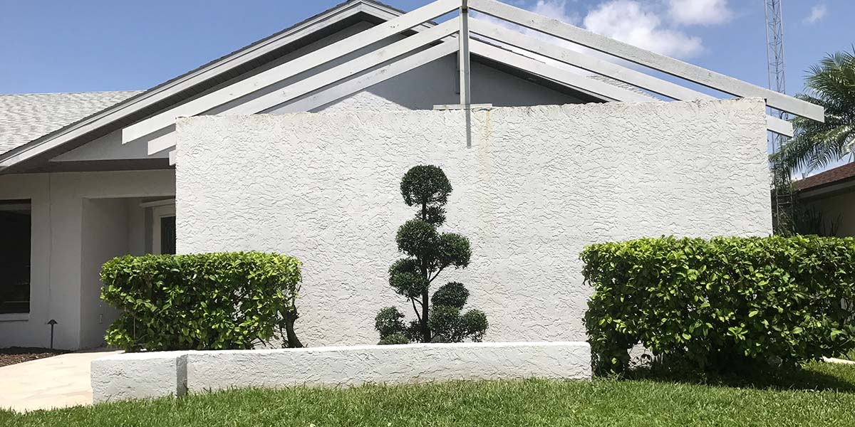 tree trimming in Englewood Florida